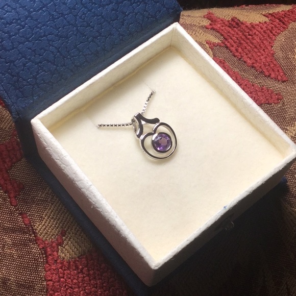 1 carat Gen Amethyst in .925 SS Heart w/18”box Chn - Picture 2 of 6